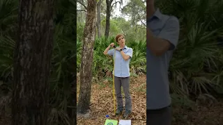 How To Measure The Diameter Of A Tree