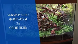 Аквариум во флорариум за один день