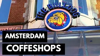 FUMANDO MACONHA NO THE BULLDOG - ROLE CANÁBICO EM AMSTERDAM 1/3