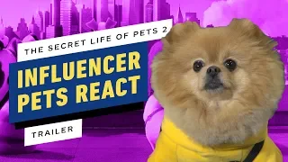 Pets React to The Secret Life of Pets 2 Trailer