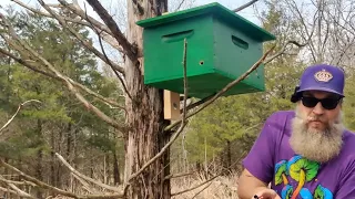 Setting up the swarm traps!