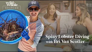 Spiny Lobster Diving with Bri Van Scotter | S1E05 | Sourced