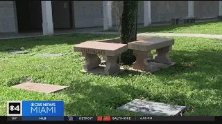 Hollywood family file lawsuit after cemetery mix-up