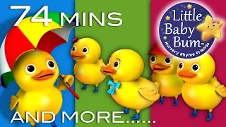 Five Little Ducks | Learn with LittleBabyBum - Nursery Rhymes for Babies