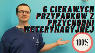 PRAWDZIWE PRZYPADKI Z PRZYCHODNI WETERYNARYJNEJ - 100% REALNE