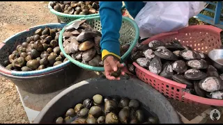 Amazing Country Village Foods | Organic from Paddy Rice-field Snails & Shells | Yummy & Healthy Food