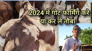 2024 में गोट फार्मिंग करें या फिर तौबा कर ले | 2024 me goat farming kre ya nhi | sukant chawla
