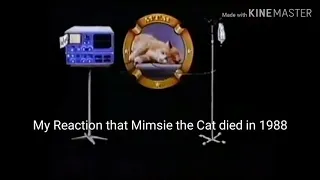 My reaction that MTM Mimsie the Cat died in 1988 (My first Kinemaster video/Opinions about that cat)