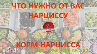 КОРМ НАРЦИССОВ И ПСИХОПАТОВ - ЭТО МЫ! РАЗБИРАЕМ НАРЦИССОВ С САМОГО  ДЕТСТВА.