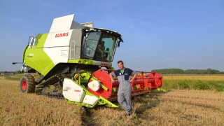 CLAAS In Campo. TUCANO 560. All'azienda Berardi.