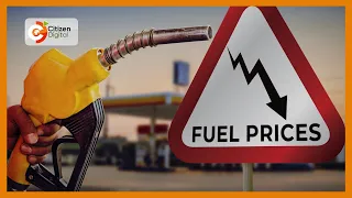 Parliaments call for public participation on fuel taxes