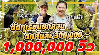 ตัดทุเรียนขาย ได้ตังค์คันละ 300,000 บาท!!!