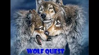 Прохождение Wolf Quest часть 3 наконец нашел волчицу