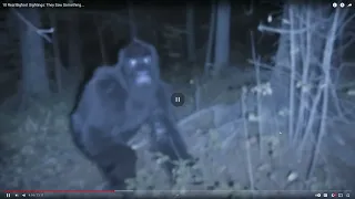 Bushnell Trail Camera Bigfoot Breakdown