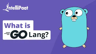 What Is Golang | What Is Golang Used For | Golang Tutorial For Beginners | Intellipaat