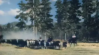 John Wayne | Helltown 1937 (Western, Colorized) directed by Charles Barton | written by Zane Grey