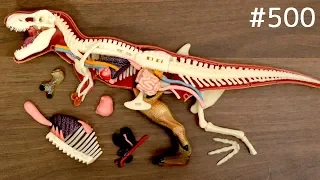 恐竜を解体して何食べる？T-Rex & Stegosaurus Anatomy Model. Dinosaur puzzle