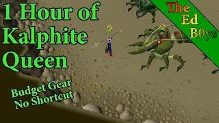 1 Hour of Kalphite Queen Solo | OSRS KQ Budget Gear Examples