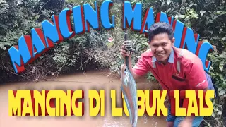 MANCING MANING DI LUBUK LAIS || JANGGA BARU TV