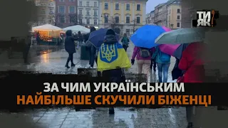 Сало, цукерки, медицина та сфера послуг: за чим скучили українські біженці в Європі? | Опитування