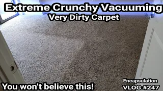 Holy Moly! Extreme Crunchy Vacuuming | Real dirty Encapsulation |Carpet cleaning vlog Episode 247