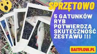 Unboxing/Test wędki Flagman Azura Olivia Area UL i kołowrotka Daiwa Legalis LT BaitFlow.pl SPRZĘTOWO