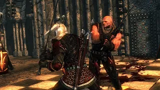 The Witcher 2: Geralt Kills Letho (Iorveth Path Ending)