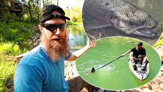 My 15 lbs PET TROUT is Not Happy (she turned white!) - Dying Fish Rescue, 24-hr Pond Aeration, Algae