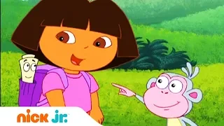 Даша-путешественница | Дашина карта | Nick Jr. Россия