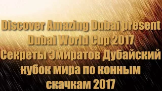 Dubai World Cup 2017|Дубайский международный кубок мира по конным скачкам 25.03.2017|Скачки в Дубае