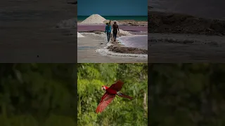 Empieza el año viajando al Amazonas y La Guajira