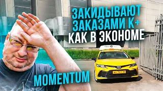 Девочки! Андрюша! Крысы в комфорт+. Momentum/StasOnOff