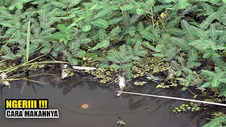 Astaga!!! Jangan terlena oleh spot yang indah saat memancing ikan #SG-318