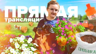 ПРЯМАЯ ТРАНСЛЯЦИЯ. 08.06.22 отвечаем на вопросы