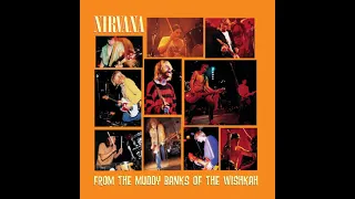 Nirvana - School (Live In Amsterdam, Netherlands, At Paradiso, November 25, 1991)