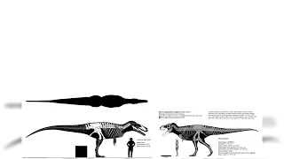 Torvosaurus And Zhuchengtyrannus Size Comparison