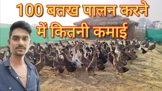 Duck Farming / 100 बतख पालन करने में कितनी कमाई | Total Cost & Profit // Forest Farming