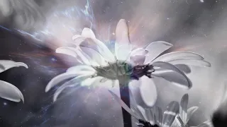 White Tara Mantra 白度母心咒 Realization Upon Calmness  (心靜徹悟) by Imee Ooi 黃慧音  官方完整版Offical MV