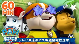 パウ・パトロール シーズン２ 名シーン集🐶  | 60分 | テレビ東京系にて放送中