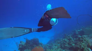 Bonaire, scuba adventure