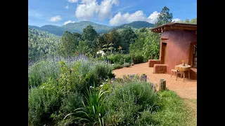 Oaxaca, Mexico Beautiful Adobe Cottage Rental in Mountain Village