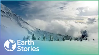 National Park With Over 100 Glaciers Is Under Threat | A Park For All Seasons | Earth Stories