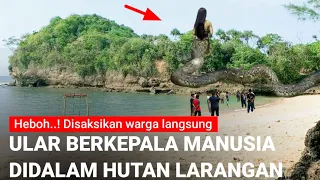 Terbukti Ular berkepala manusia bukan dongeng Video ini buktinya