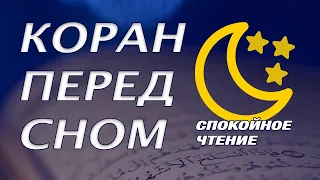 🌙 ВКЛЮЧАЙТЕ КОРАН ПЕРЕД СНОМ - БЕРИТЕ СИЛЫ ОТ СЛОВ ВСЕВЫШНЕГО АЛЛАХА. ОЧЕНЬ КРАСИВОЕ ЧТЕНИЕ КОРАНА