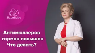 Антимюллеров гормон повышен: что делать? Анализы при бесплодии