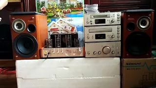 Pioneer N701 & Nobsound MS-10D MKII