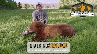 Stalking Shadows - 2023 Itcha Mountain  Black Bear Hunt - Pro Membership Sweepstakes Giveaway