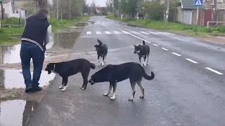 Справа в тому що У мене немає дому(((