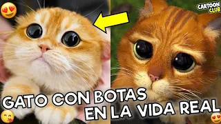 EL GATO con botas en la VIDA REAL