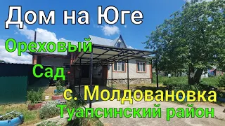 Дом на Юге/ с. Молдовановка Туапсинский район/ Ореховый сад на участке 13 соток